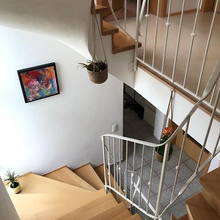 House With Castle View & Art Διαμέρισμα Γκούνζμπουργκ Εξωτερικό φωτογραφία